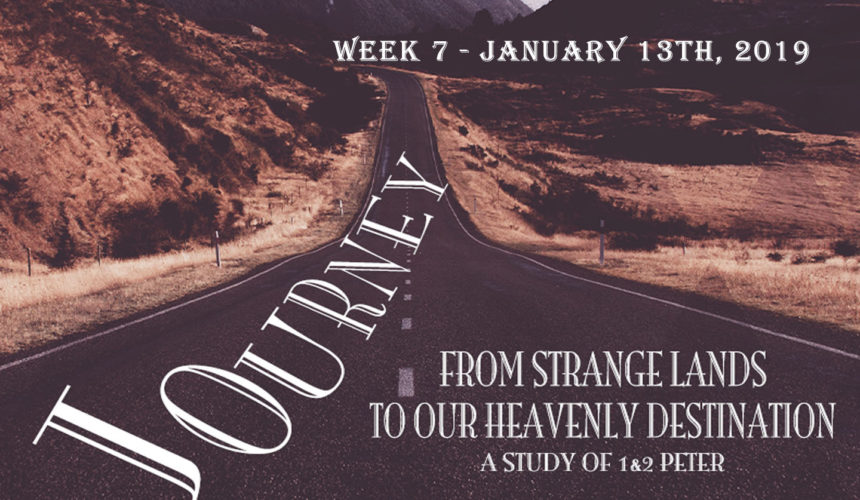 Journey: Week 7